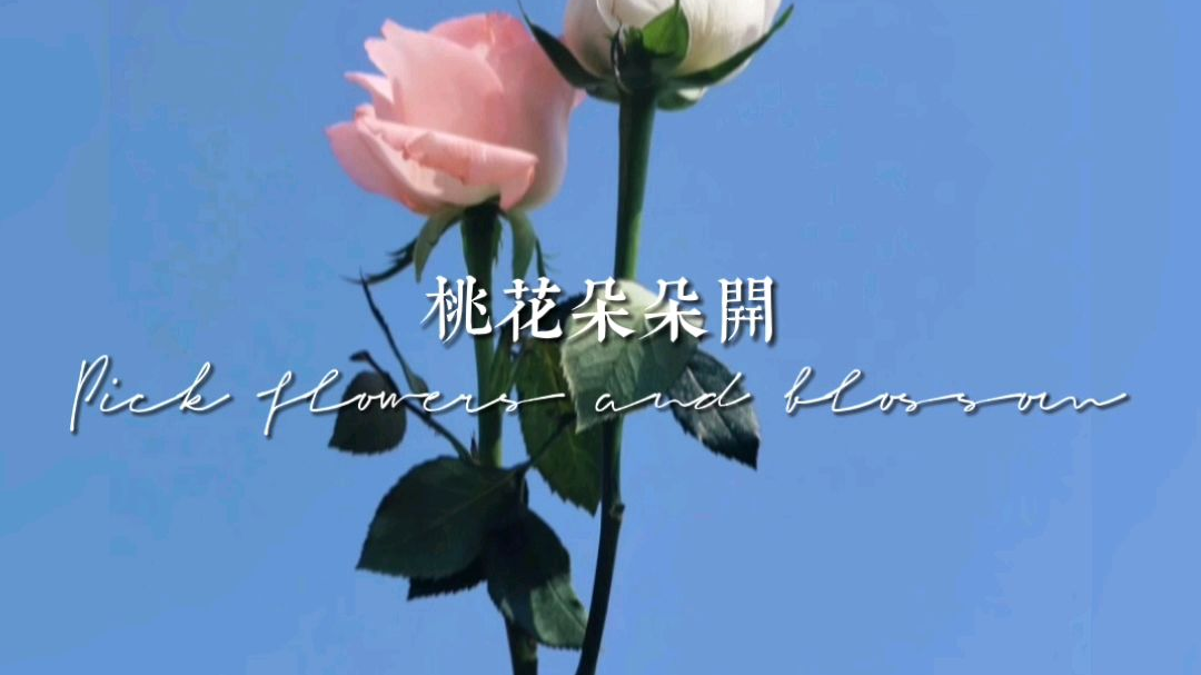 三月好事正酿 万物复苏 大家都要如愿以偿